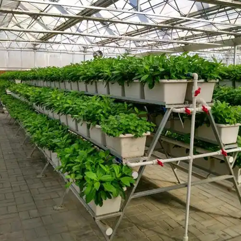 宿州市植物工厂薄膜大棚 - 哪里好